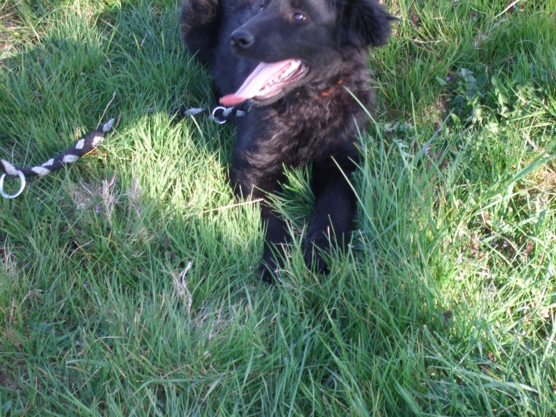 Ostern 2007 Orleshausen 084 